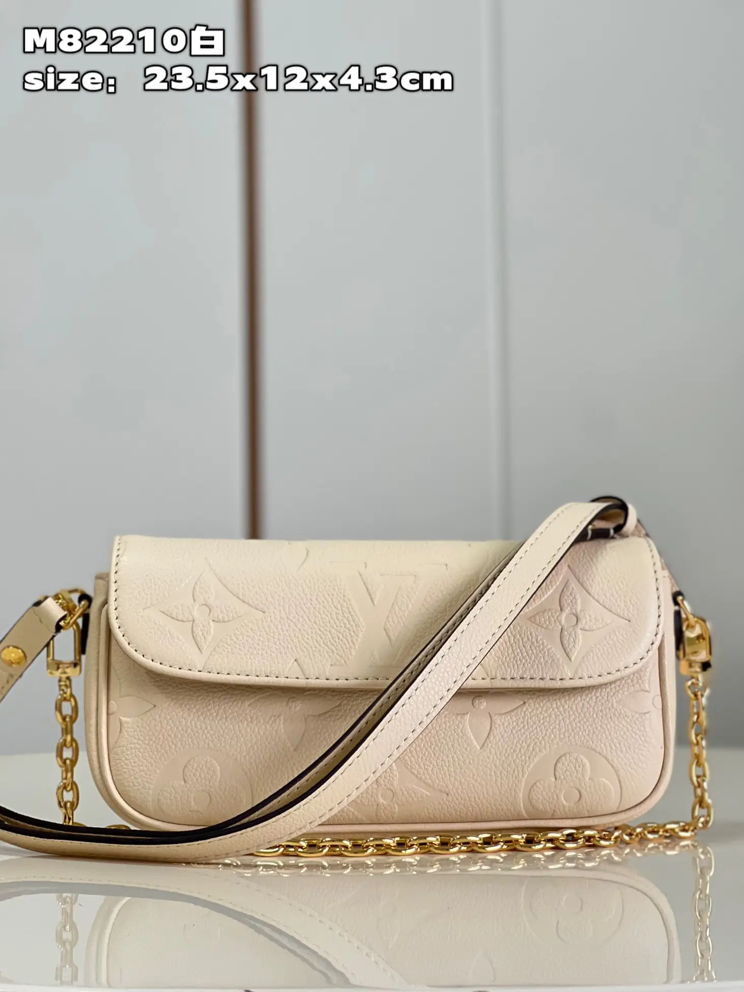380  M82210白 Wallet on Chain Ivy