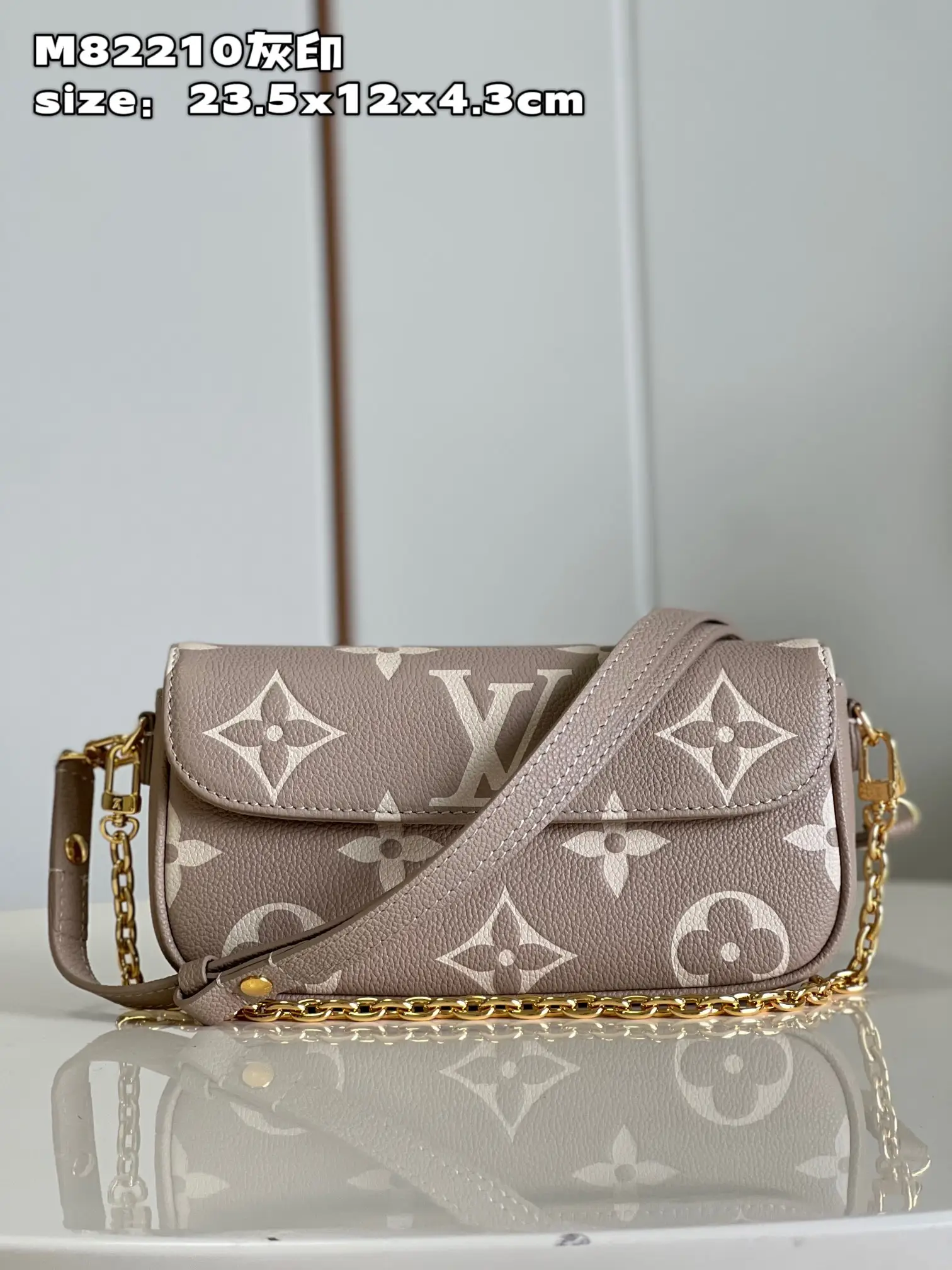 380 M82210 Grey Print Wallet on Chain Ivy