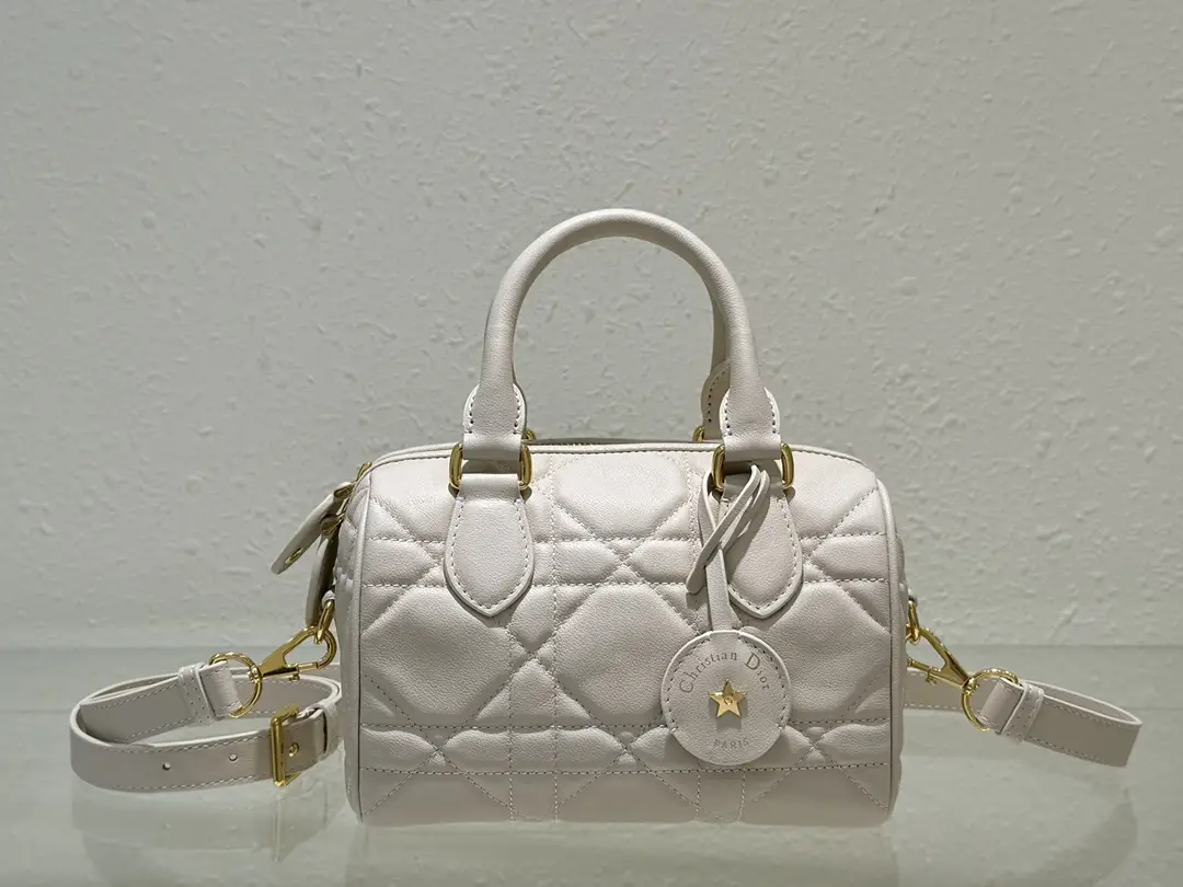 The Dior Groove 20 handbag is a new addition to the 2024 winter ready to wear collection