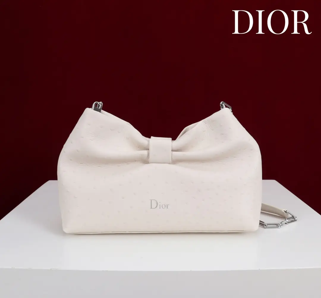 Dior LAMBSKIN 2026 Spring/Summer New Handbag
LAMB